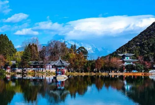 黑龍江省濕地旅游產品開發(fā)的機遇、挑戰(zhàn)與路徑分析